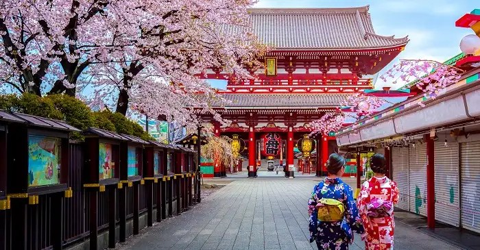 Unlock the Hidden Treasures of Tokyo with Tokyo Private Tours by Hinomaru&nbsp;One